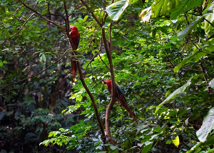 La Selva Eco-Lodge & Retreat